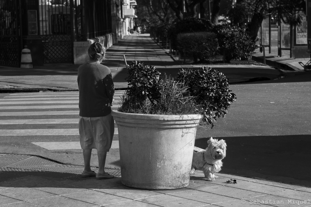 Fotografía
